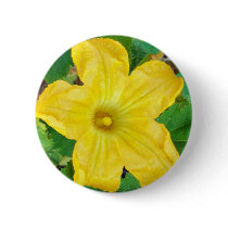 Zucchini Flower Pins