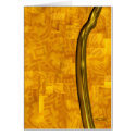 Zuma Card