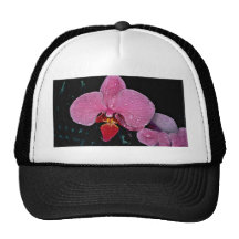 Zuma firefly  flowers mesh hats