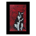 zydeco cat greeting card