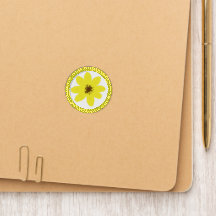 አደይ አበባ Adey Abeba Ethiopian Flower