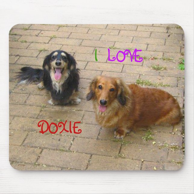 なかよしダックスフント ♪ MOUSE MAT (Front)