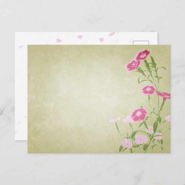 やさしさを届ける＊撫子のポストカード POSTCARD (Front/Back)