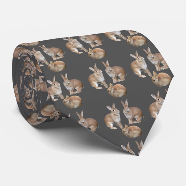 ウサギ、“ Alice's Adventures in Wonderland ” Tie (Rolled)