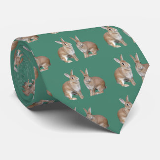 ウサギ TIE