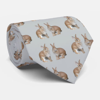 ウサギ TIE
