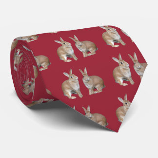 ウサギ TIE