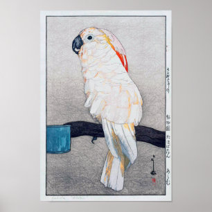 オオバタン・オウム, Salmon-crested cockatoo, Yoshida Poster