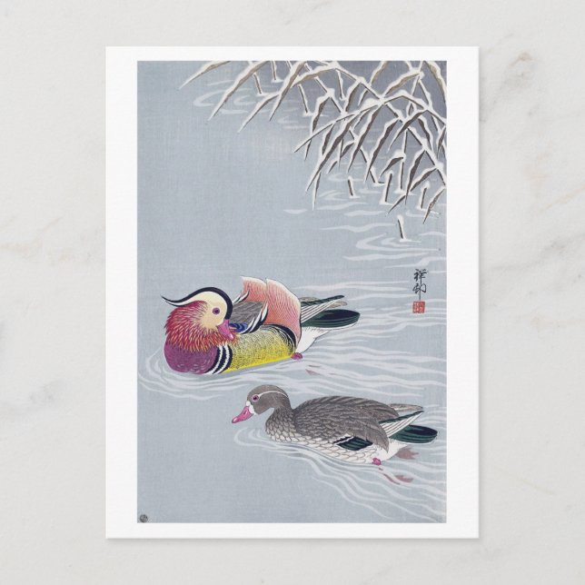 オシドリ, 小原古邨 Mandarin duck, Ohara Koson, Ukiyo-e Postcard (Front)