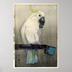 キバタン・オウム, Sulphur-crested cockatoo Poster