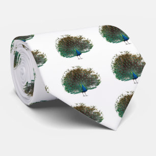 クジャックのアパレル TIE