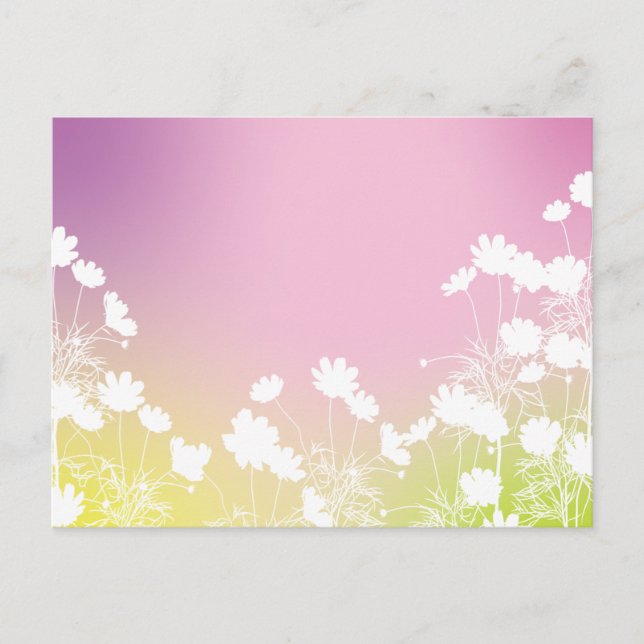 コスモスの花｜秋の風を感じるポストカード POSTCARD (Front)