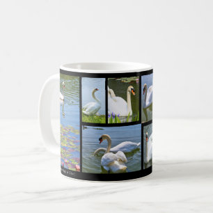 コブハクチョウ COFFEE MUG