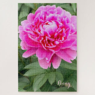 シャクヤク [花] ジグソーパズル JIGSAW PUZZLE