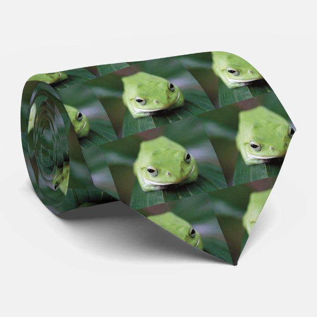 シュレーゲルアマガエル TIE (Rolled)