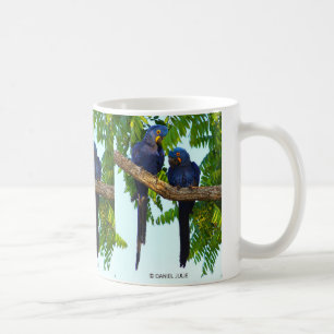 スミレコンゴウインコ , Hyacinth macaw Coffee Mug