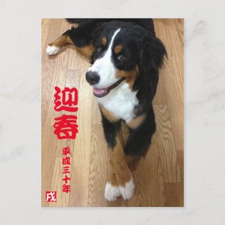 バーニーズマウンテンドッグ　年賀状　2018年　戌年 POSTCARD