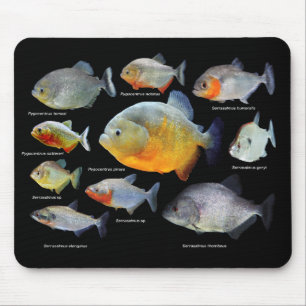 ピラニアの製品 MOUSE MAT