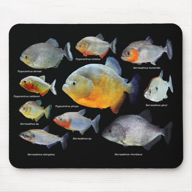 ピラニアの製品 MOUSE MAT (Front)