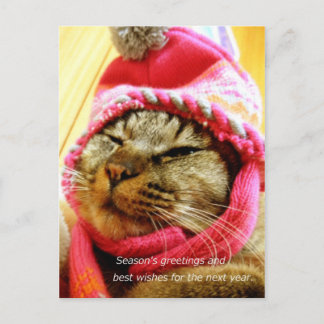 ピンク帽子のチャド(縦:年末年始のメッセージ付き) POSTCARD