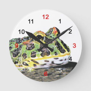 ベルツノガエルの壁掛け時計,No.01 Round Clock