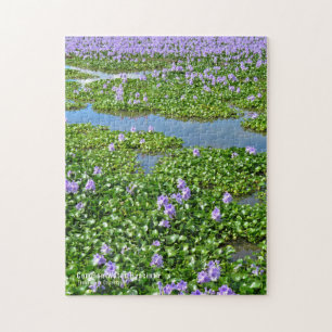 ホテイアオイ(花) JIGSAW PUZZLE