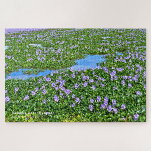 ホテイアオイ(花) JIGSAW PUZZLE
