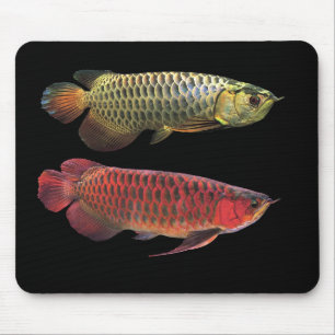 マレーシアンゴールデンアロワナとスーパーレッドアロワナのマウスパッド MOUSE MAT