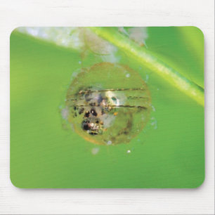 メダカの発眼卵のマウスパッド MOUSE MAT