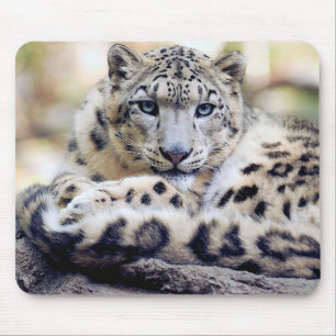 ユキヒョウ MOUSE MAT