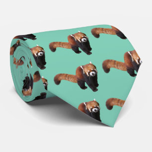 レッサーパンダ TIE