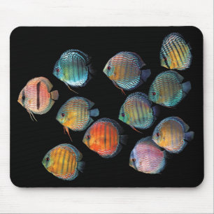 ワイルド・ディスカス・フィッシュ MOUSE MAT