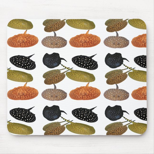 南米産淡水エイのマウスパッド,No.05 Mouse Mat (Front)
