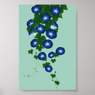 朝顔, 青磁色, Asagao, Morning glory, shallow green Poster