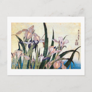 杜若ときりぎりす, 北斎 Iris and Grasshopper, Hokusai Postcard
