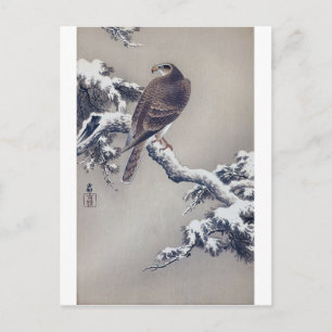 松に鷹, 古邨 Hawk on Pine tree, Ohara Koson, Woodcut Postcard