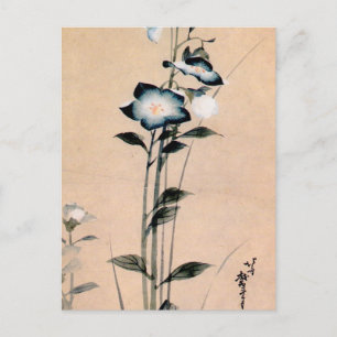 桔梗, 北斎 Chinese bellflower, Hokusai Ukiyo-e Postcard
