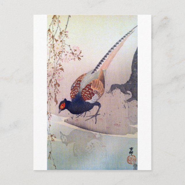 桜にキジ, 古邨 Pheasant and Cherry blossoms, Ohara Koson Postcard (Front)