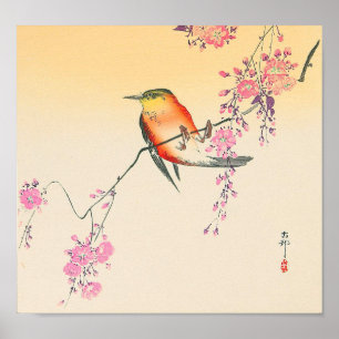 桜に鳥, 小原古邨 Bird & Cherry Blossoms, Oh Poster