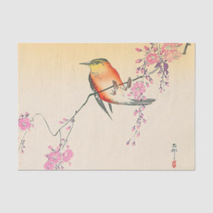 桜に鳥, 小原古邨 Bird & Cherry Blossoms, Ohara Koson Tissue Paper