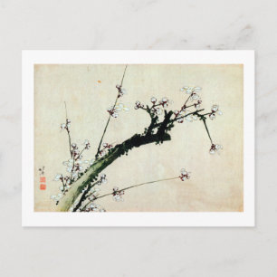 梅花, 北斎 Plum Blossoms, Hokusai, Ukiyo-e Postcard