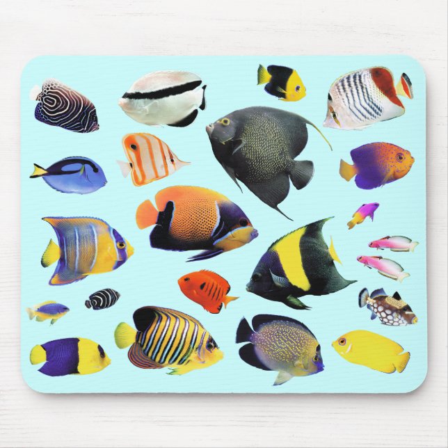 熱帯の海水魚のマウスパッド,No.02 Mouse Mat (Front)
