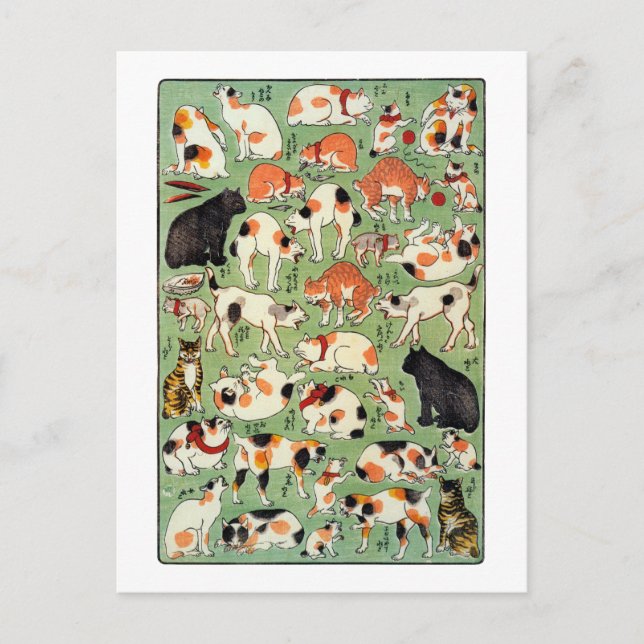 猫尽両めん合, 芳藤 Cats of The Edo era, Yoshifuji, Ukiyo-e Postcard (Front)