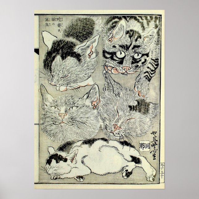 猫, 暁斎 Cats, Kyōsai, Ukiyo-e Poster (Front)