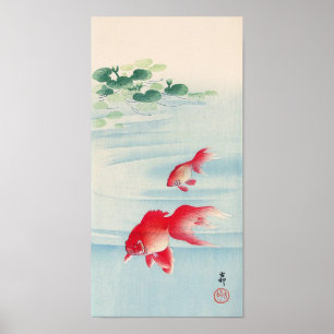 睡蓮と金魚, 古邨 Water lily and Goldfish, O Poster