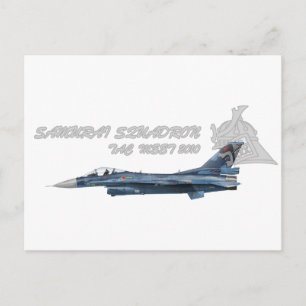 第3飛行隊 戦競塗装2010 POSTCARD