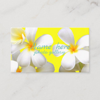 米スタンダード 8.89cm x 5.08cm名刺 business card