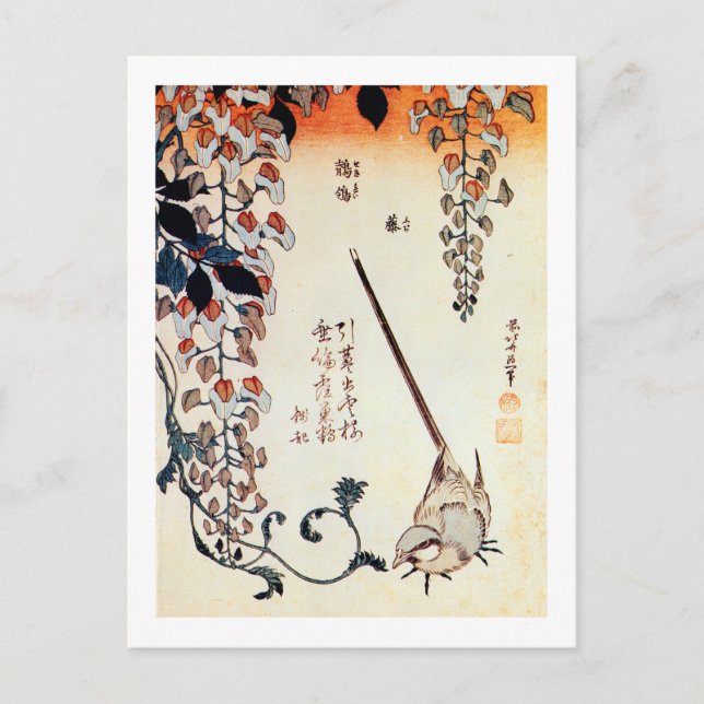 藤にセキレイ, 北斎 Wagtail and Wisteria, Hokusai, Ukiyo-e Postcard (Front)