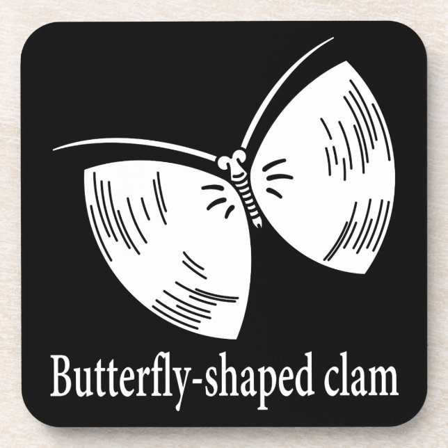 蛤胡蝶 COASTER (Front)
