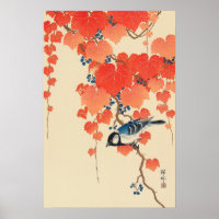赤い蔦に鳥, 古邨 Bird on Red Ivy, Koson, Ukiyo-e